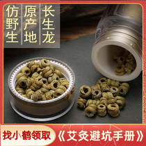 Long life Longjo Mountain dendrobium Dendrobium Dendrobium dendrobium Maple Dry Goods Forest Under the Origin 20 gr Dress