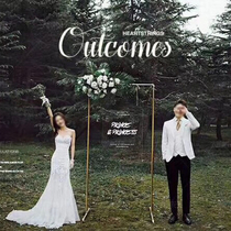 Fashion travel wedding photography props iron frame Mori Nordic trend sample shooting acrylic transparent board shelf