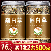 Turn white grass 500g fresh new dried non-wild Chinese herbal medicine Drop whole root blood cut section sugar sell twisted stock blue bitter Ding tea