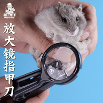 Cute main driving to hamster Hedgehog Magnifying Glass Fingernail Scissors Golden Silk Bear Dragon Cat Guinea Nail Clippers Small Pet Supplies