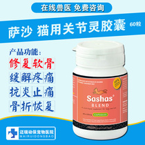 Australian Sasha cat joint spirit 60 grains folded ear cat fracture osteochondral dysplasia claudication joint inflammation repair