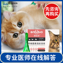 Enbedo cat in vitro anthelmintic kittens flea lice ticks cat anthelmintics in vitro and in vivo