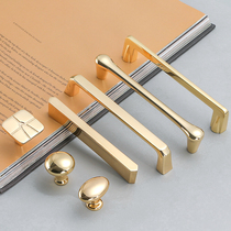 Eagle Shield Modern Simple Cabinet Drawer Handle Golden European Light Luxury Kitchen Shoes Cabinet Longer Wardrobe Door Handle