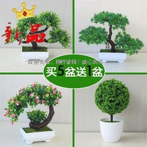 Simulation bonsai plastic flower pot rich tree small potted living room office desktop decoration flower decoration fake flower
