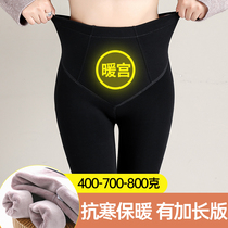 Bottom pants female autumn and winter thickness northeast special thickness and high waist high waist insulation pants super thick cotton pants