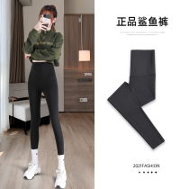 Shark pants women wear spring and autumn high waist belly lift hip yoga tight thin leg strong pressure plus velvet base Barbie pants