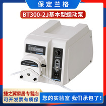 Paulinger BT300-2J Laboratory Precision Peristaltic Pump DG15-24 Pump Head peristaltic pump