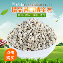 Planting stone gold stone grain multi-broccoli special Japanese imported plant material paving stone grain soil mixed soil matrix sauna