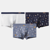 Fenten FTKK mens underwear mens boxer cotton breathable antibacterial plus size shorts youth pants knickers