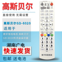 Hunan Radio and Television Cable Digital TV Gospel GD-6020 Set-top Box Remote Control