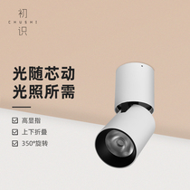 First-seen lighting led household spotlight Nordic living room ceiling ceiling lamp corridor aisle cob lamp