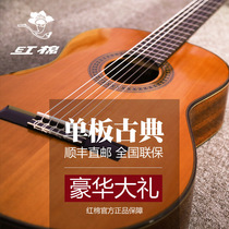 Cotton classical guitar C11 single board novice beginner student female male face single Classical 39 inch electric box guitar