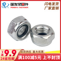 8 8 Grade 4 8 Galvanized Nylon Self-Locking Nut DIN985 Nylon Lock Nut Lock Nut M2-M24