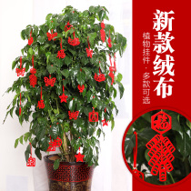 New Year Spring Festival Plant decoration supplies Bonsai hanging indoor scene decoration New Years Day Small Lantern pendant