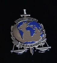 American badge American metal badge INTERPOL INTERPOL COS chest emblem pure copper