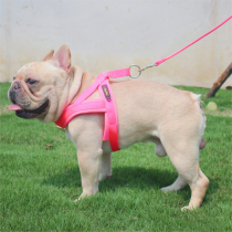 Out-of-the-chests Chest Pet Dog Traction Fast Jacketing Chest Strap Farfight Dog Cat Universal Walking Dog Rope