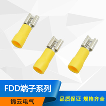 Thickened fdd5 5-250 female pre-insulated terminals 6 Reed plug plug terminal female ear terminals 500