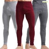 men cotton underwear boys winter leins man warm pants