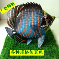 Simulation fish tropical fish model 20 inch 53cm placed hanging in the air photography props home furnishing