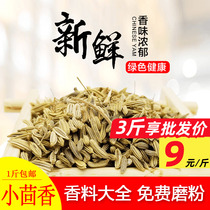 Fennel Fennel Seed Reincense Grain Spice 500g Minced Cumin Fragrant and Cumin Fragrant