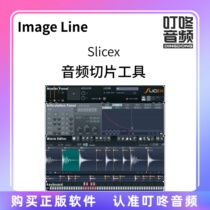 Image Line Slicex Audio Slicing Tool Music Production Plug-in Software