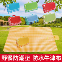 Picnic mat Outdoor outing Outdoor portable waterproof thickened picnic mat Lawn cloth Autumn travel supplies moisture-proof mat