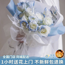 Flowers Michigan crushed ice blue gradient rose Isabella Shanghai Beijing Hangzhou Guangzhou distribution rose bouquet