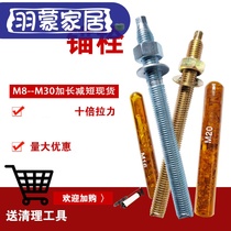 M8M10M12M14M16M18M20M24M30 Chemical anchor bolt extension bolt High strength seedling bolt expansion screw