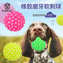 Pooch toy ball resistant to bite grinders puppies better than bear teddy small dogs golden hair to smother Divine Instrumental Pet Supplies Balls