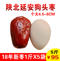 Yanan Dog Head Date Shaanxi Special Production Shaanxi Peking University Red Date Six Stars Special Grade date Bulk Zaozi whole box 5 catties