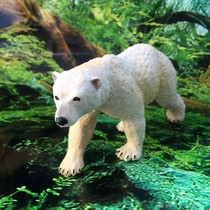 Childrens toys European and American version of Safari Marine polar bear static model doll ornaments special offer