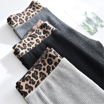 Japan beat underpants wear high waist collection and thin section thread vertical bar 90% small leggings BAO WEN waist women display slim pure cotton