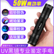 UV Purple Light Flashlight Wine Porcelain Authentication 365nm UV Detection Flashlight for Cash Sampling Wood