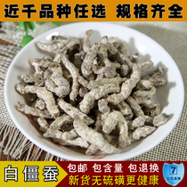 Chinese herbal medicine selection of sulfur-free white silkworm provides ground silkworm powder 500g