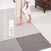 Solid color Turkey imported wool carpet Villa living room Japanese style dirty large area full of coffee table mat custom