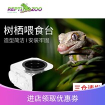 reptizoo reptile ciliary horn gouge basin water basin lizard food basin beetle jelly table ciliary horn gougong puree Basin