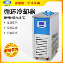 Shanghai One Constant Cycle Cooler BWR-03A B C) Circulation Chiller Storage Tank LABORATORY INSTRUMENT EQUIPMENT