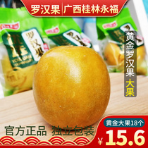 Golden Luo Han Guo big fruit wild fruit dried fruit Luo Han Guo tea Guilin Yongfu specialty special fruit