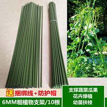 Gardening pillar bracket supplies plastic-coated steel pipe climbing vine plant cucumber loofah rose flower bracket Vine shelf