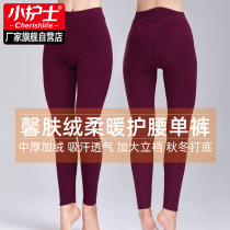 Small nurse warm pants Womens velvet thick autumn pants wear waist protection loose cotton pants pants base velvet pants men