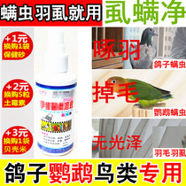 Lice mites a net parrot bird with lice blood mites Parasite Spray Bite to Bite Feathers off the Feather Plume Spray Shower