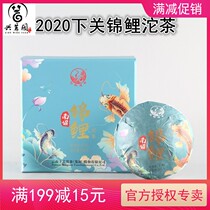 2020 Lower Guanao Jinkoi Carp Tuo Tea 365 gr Tuo Box Courtesy Kit of Yunnan Puer Tea raw tea