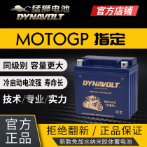 Lion motorcycle battery 12v battery Diamond leopard silver 125 General Loncin 150 Suzuki dry battery 12n7-4a