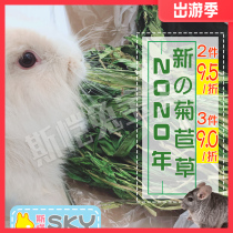 Full 50 China strong high quality chicory forage grass 1KG increase appetite improve digestion rabbit Dutch pig chinchin