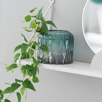 Nordic vase creative hydroponic green dill glass bottle Simple water flower arrangement transparent living room decoration dried flower ornaments