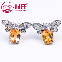 Gift certificate natural citrine earrings s925 silver bee cute simple temperament small animal jewelry gift