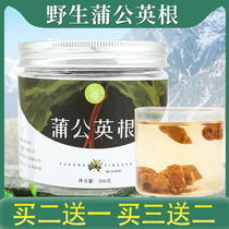 Buy 2 get 1 dandelion root tea super pure Changbai Mountain wild mother-in-law natural whole root Pugongying