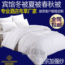 Hotel hotel bedding cotton velvet quilt fiber spring and autumn air conditioning winter quilt core