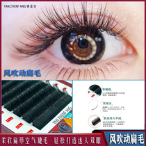 Air flat hair beauty ciliary eyelashes single root false eyelashes super soft graft eyelashes natural 0 15 thick mink soft and long lasting