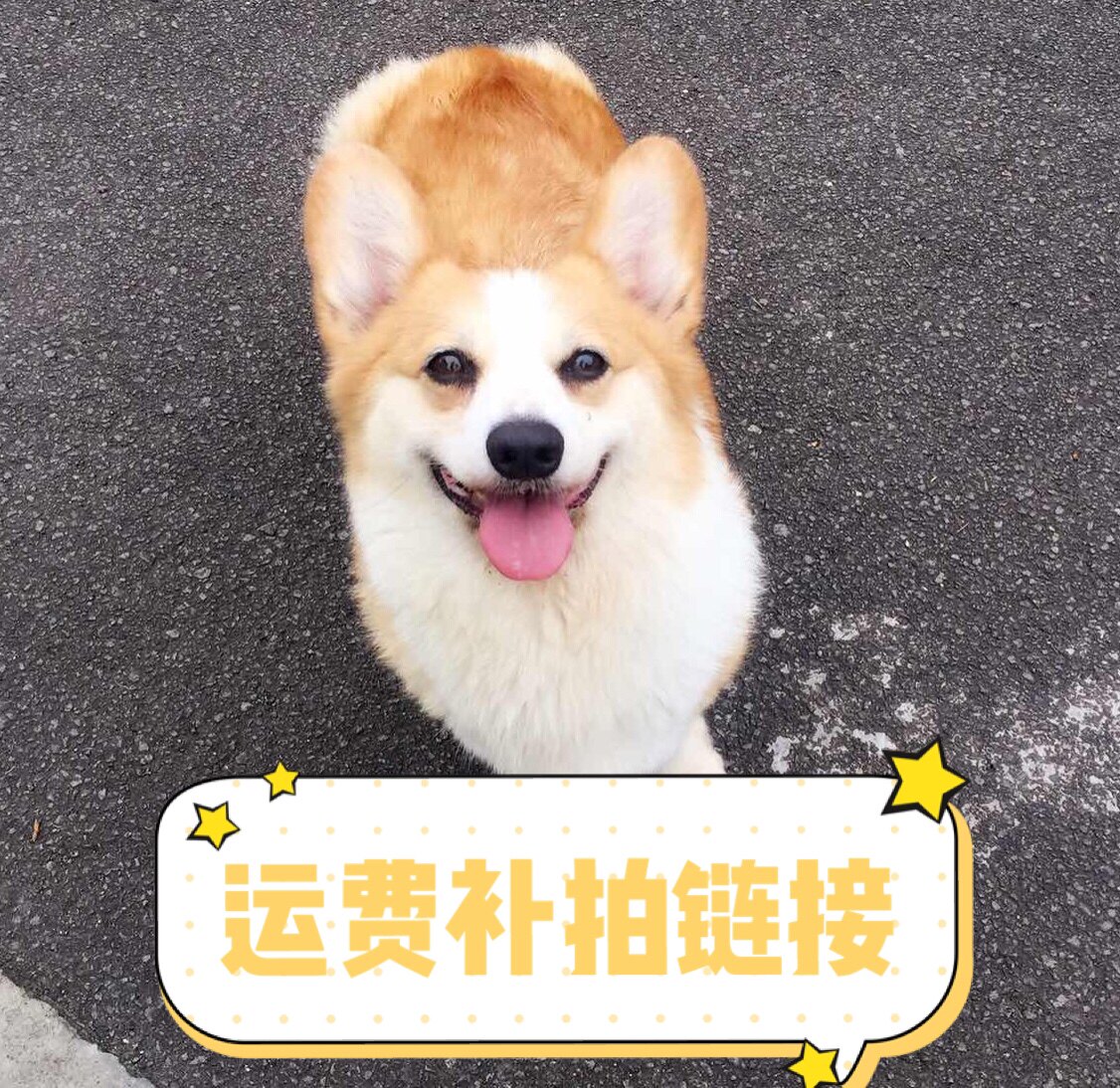 Freight re-auction Price difference re-auction Be sure to note the re-auction information The unit price of one yuan quantity is self-selected